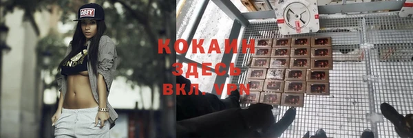 крисы Балахна