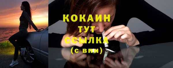крисы Балахна