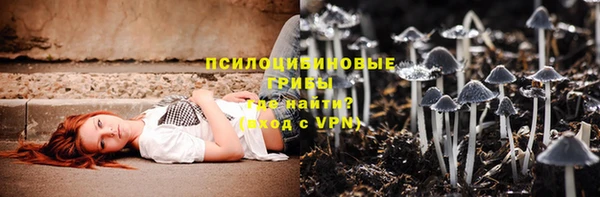 крисы Балахна