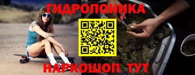 гидра Можга