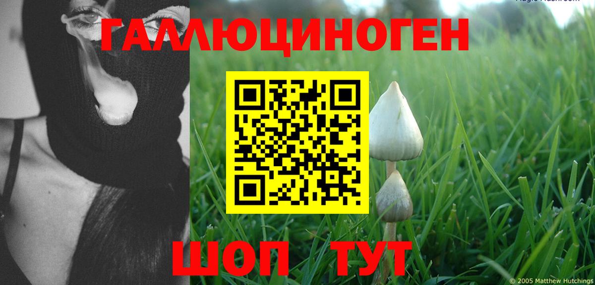 Галлюциногенные грибы MAGIC MUSHROOMS Печора