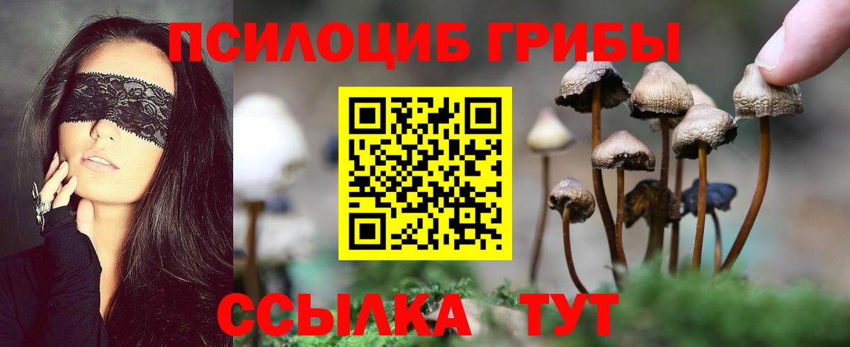 Псилоцибиновые грибы MAGIC MUSHROOMS  Псилоцибиновые грибы Magic Shrooms  Вход с VPN  цены наркотик  Печора 